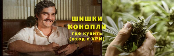 дурь Осинники