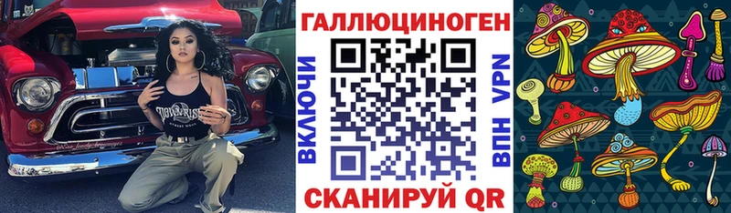 Псилоцибиновые грибы мицелий  маркетплейс состав  Дальнереченск 