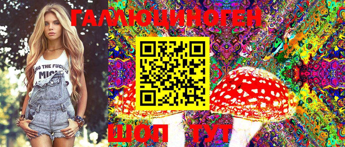 Галлюциногенные грибы Cubensis Дальнереченск