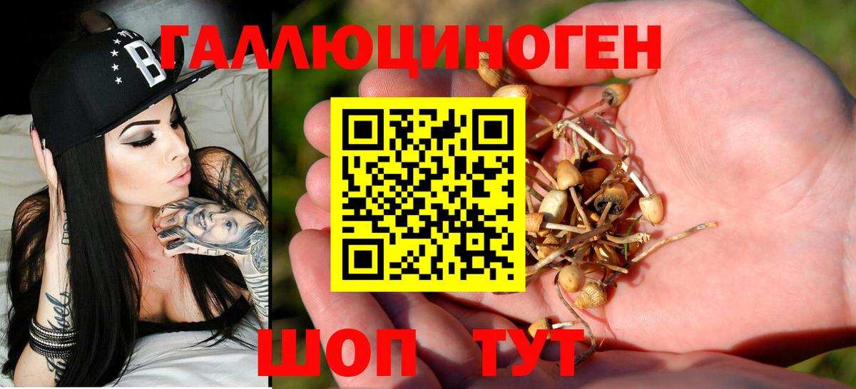 Галлюциногенные грибы прущие грибы  Вход с VPN  Дальнереченск  Псилоцибиновые грибы прущие грибы 